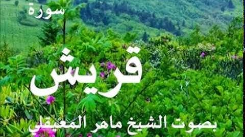 سورة قريش بصوت الشيخ / ماهر المعيقلي 106