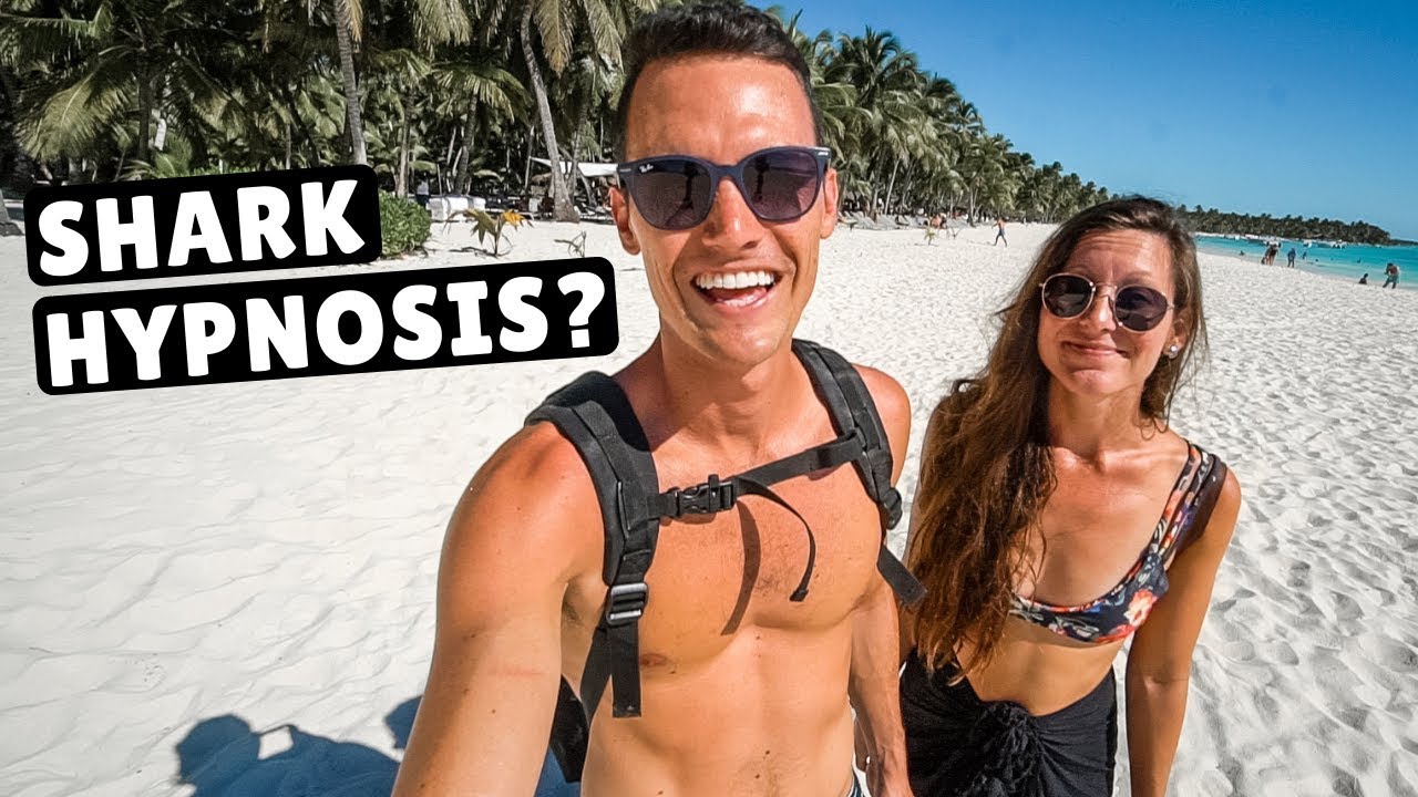 SHIPWRECKS & SHARKS! Diving in the Dominican Republic GRAND FINALE!