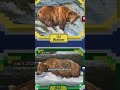 'Fat Bear Week' is here! Help crown the chunky champion | #bigbear