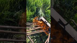 First Branding In The Books