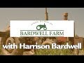 Breaking Ground: Bardwell Farm