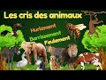 Les cris des animaux en franais