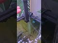 Makes Keeping Aquarium Full Easy