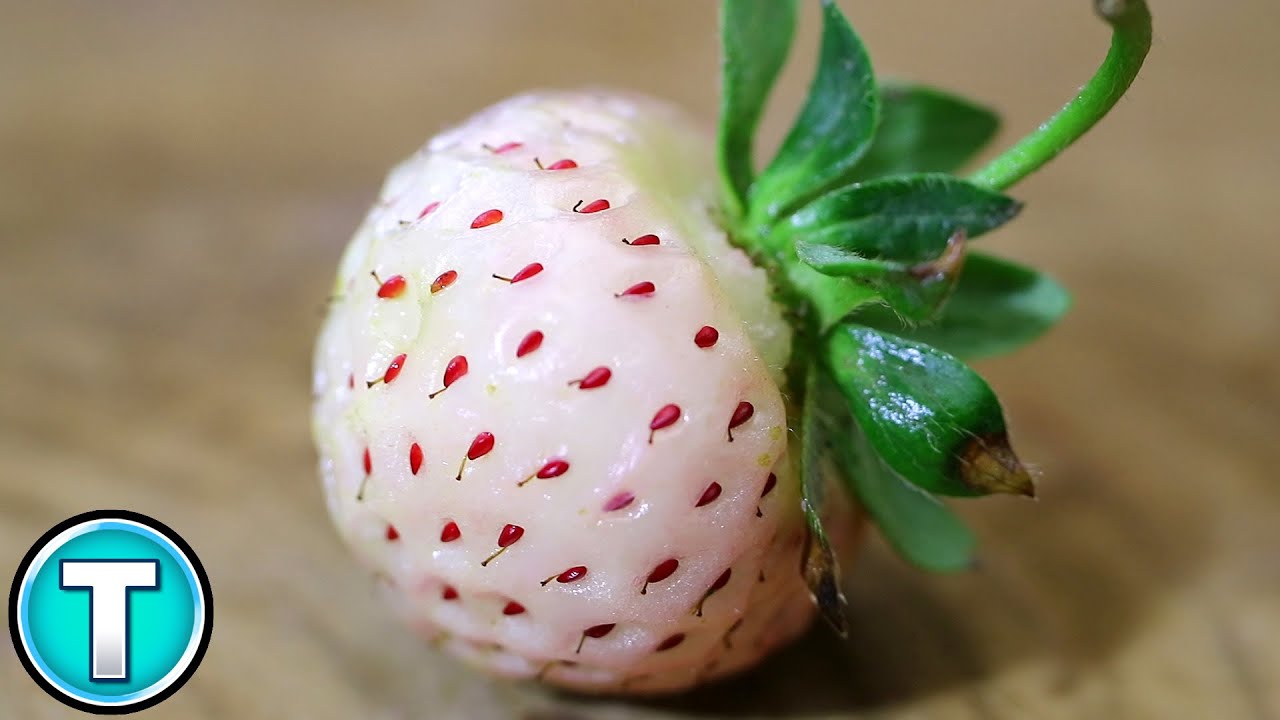 Top 10 Fruits You've Never Heard Of Part 10 YouTube