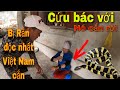 Cứu Người Bị Rắn Độc Nhất Việt Nam Cắn | SBATVC