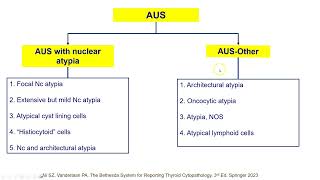 PAAF da tireoide Atipia de significado indeterminado AUS Uma visao geral