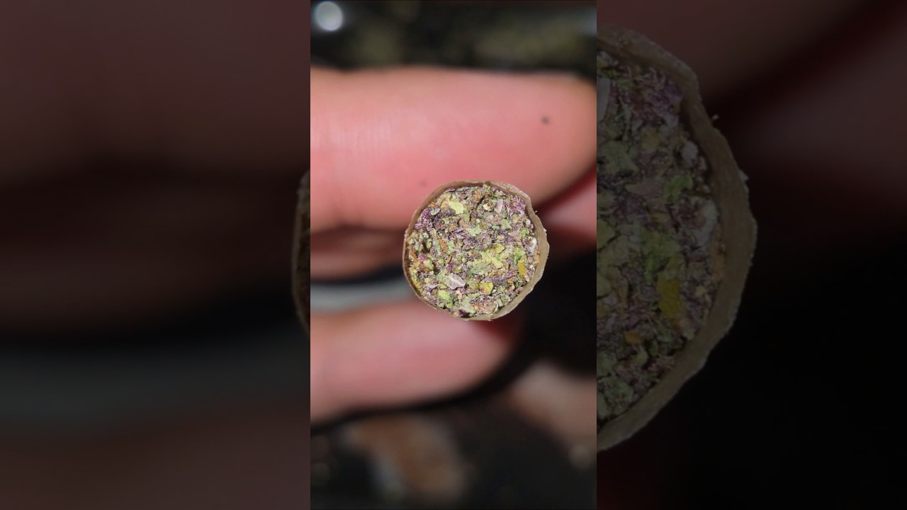 Purple Snowman from LOF is smokin GREAT like Kellogg's 