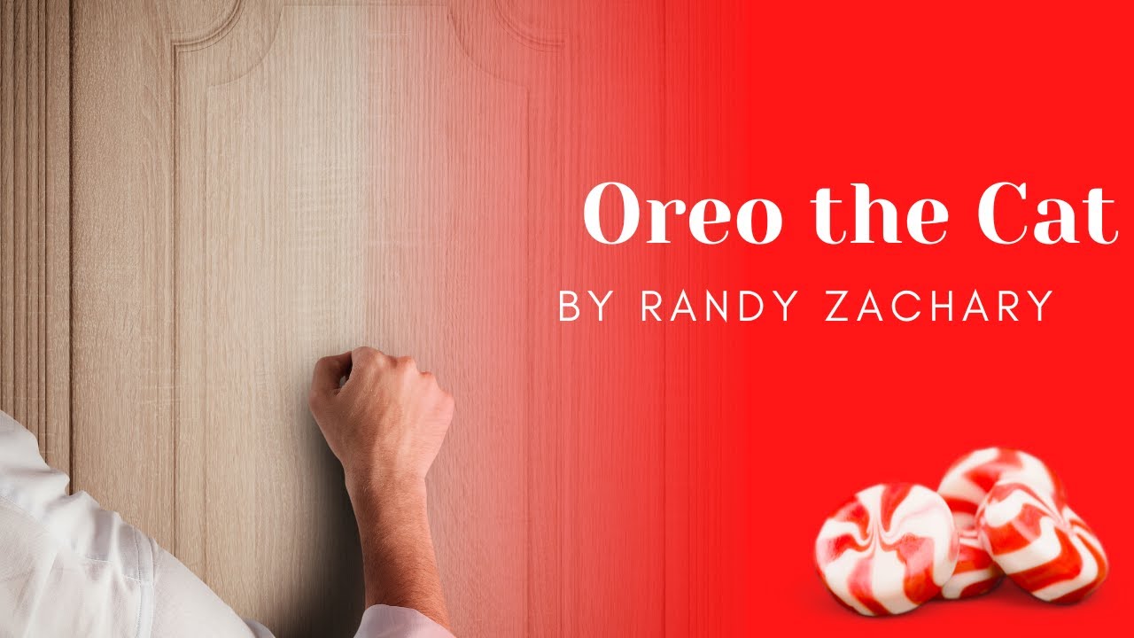 Oreo the Cat by Randy Zachary YouTube