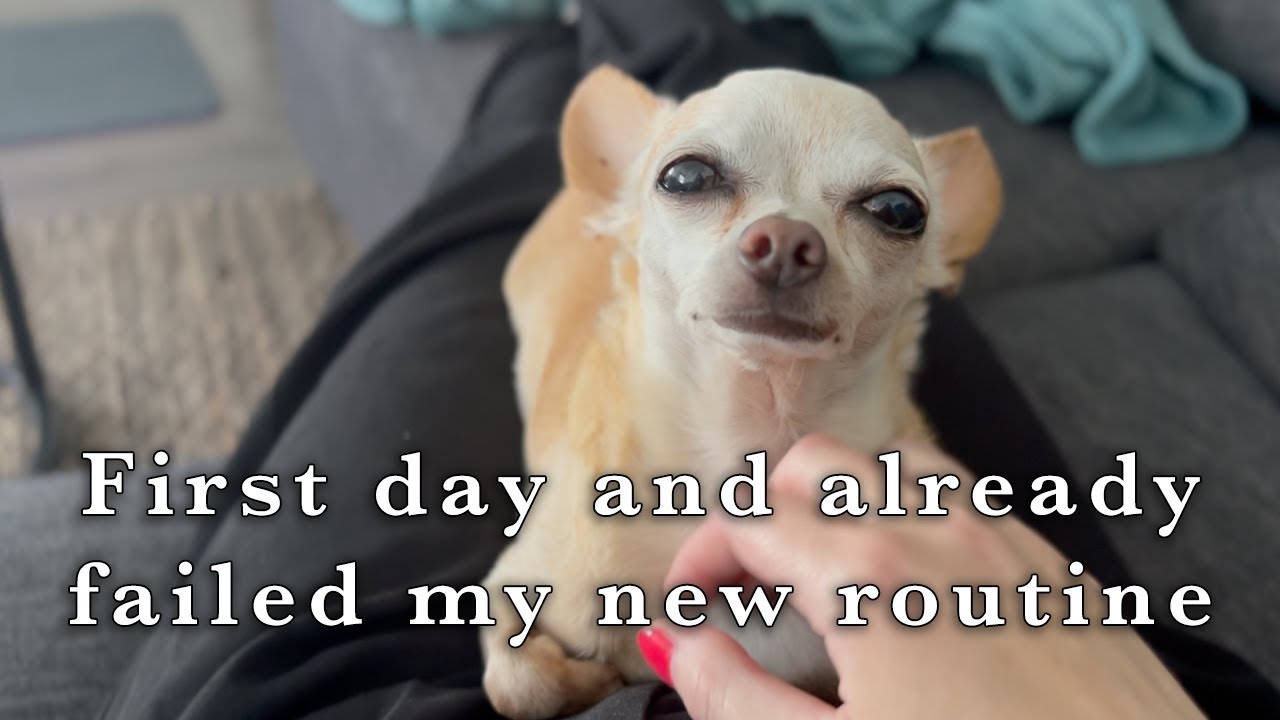 Failing Morning Routine First day and already failed my morning routine. And that's ok ...