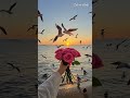 How to Remove Hatred From Your Heart