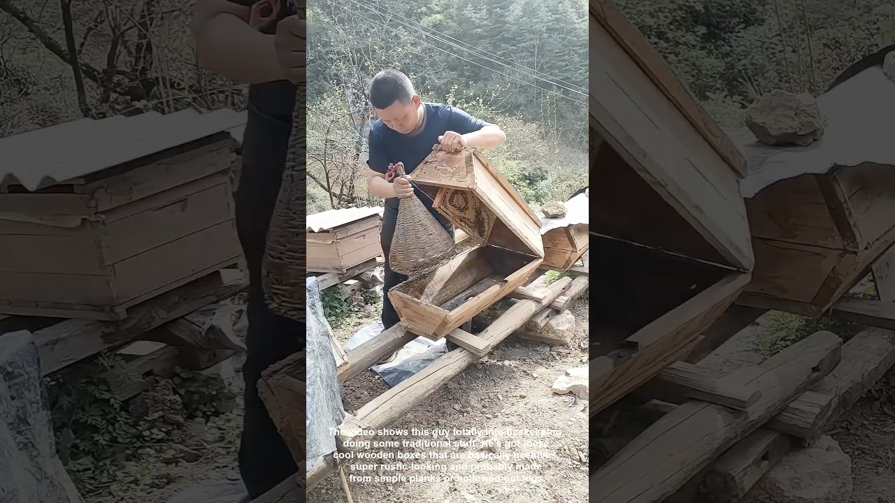 Ancient Skep Beekeeping Catching Wild Swarms and Colony Transfer Secrets