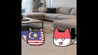 inspired from @BirdieManAnimation#shorts #countryballs #countryhumans #edit #indonesia #malaysia