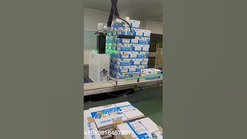 Automatic cooperative palletizing(robot) machine for case