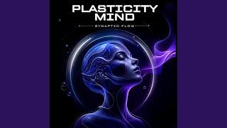 Synaptic Flow