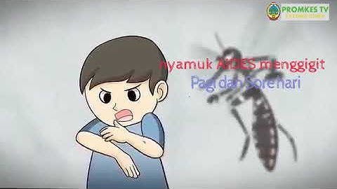Sosialisasi Pencegahan DBD