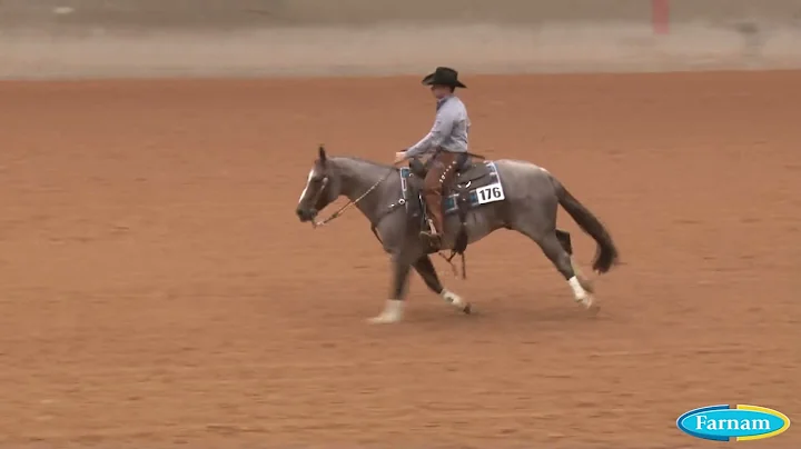 210430 Open Bridle Rein Fence Christian Lybbert on...