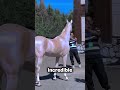 This Horse Looks Like It's Made of Gold 😱🐎 #shorts #youtubeshorts #viral