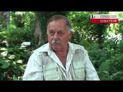 Что кроме пальм может быть в озеленении Сочи