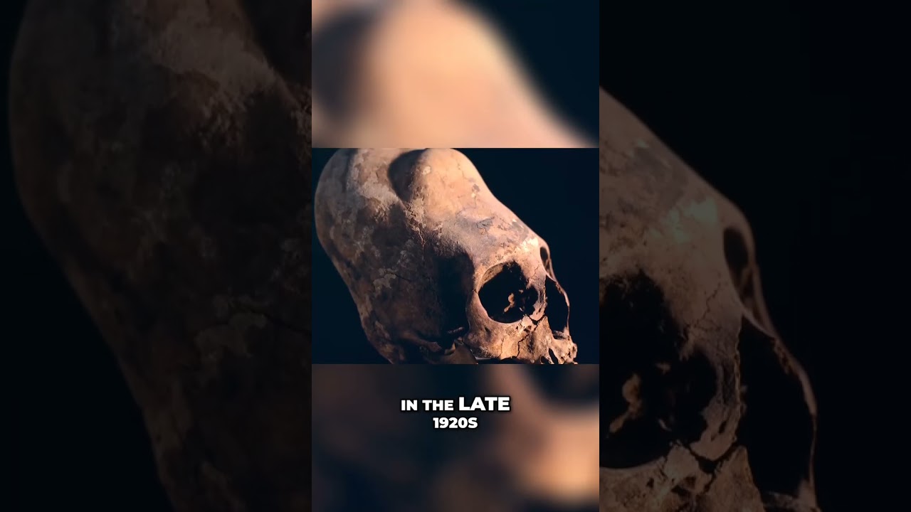 Mysterious Ancient Skulls  Do They Have Extraterrestrial Origins