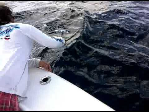 Kerry Pettitt with a Atlantic Bonita aboard the O-...