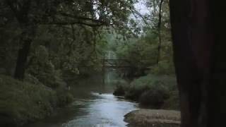 Plains Media - West Plains Missouri Real Estate Video