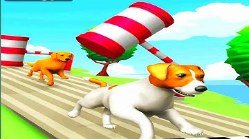 Dog Run 3D - Fun Race -- All Level Chacha Game Android Ios