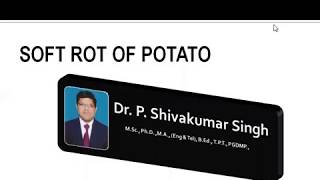 Soft Rot of Potato / Bacterial plant diseases / Plant pathology / Plant disea/ Dr P Shivakumar Singh screenshot 2