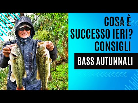 Consigli Bass autunnali – Vi racconto cosa mi è successo ieri