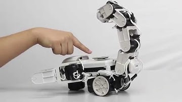 rero Tutorial 18 - Scorpion Robot [Part 2]