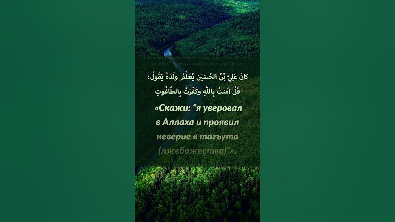 Чему обучал своего сына Али ибн Хусайн, внук Али ибн Абу Талиба, радыя ...