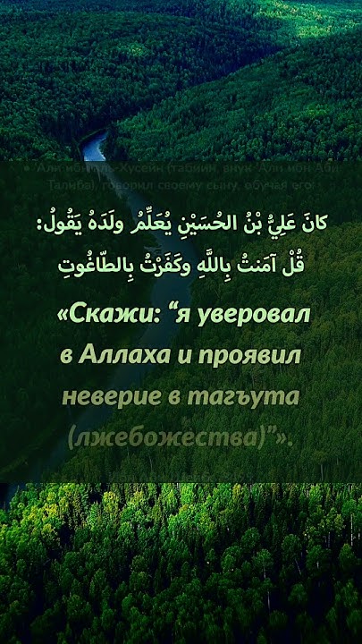 Чему обучал своего сына Али ибн Хусайн, внук Али ибн Абу Талиба, радыя ...