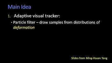 Incremental Visual Learning