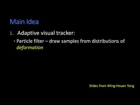 Incremental Visual Learning