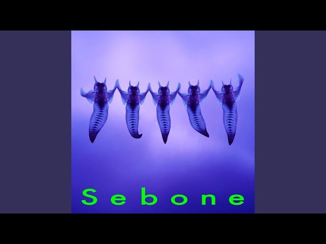 脱毛 (Preview) - YouTube