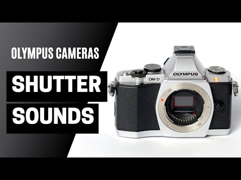 Olympus Camera SHUTTER SOUND Is Awesome! #SHORTS