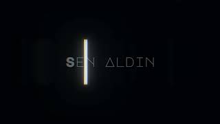 Sen Aldın