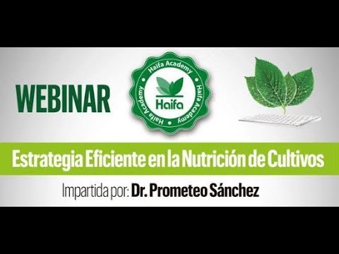 Video: Usar Fertilizantes Potásicos (parte 1)