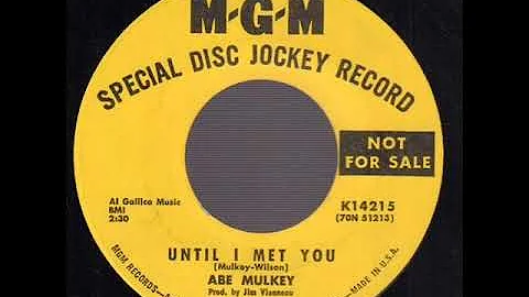 Abe Mulkey "Until I Met You"