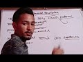 Chemical equilibrium solutions class 11 ❤️