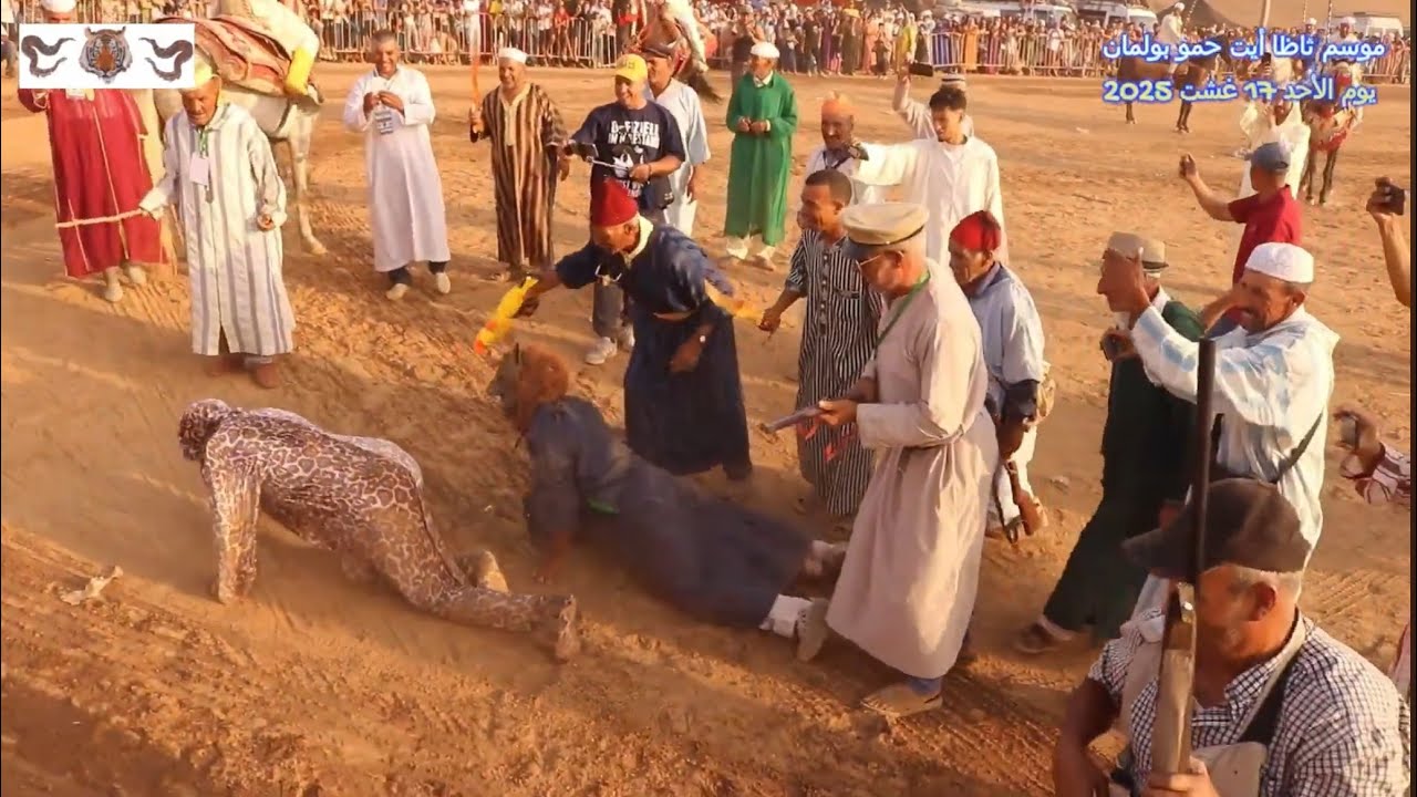 موسم ثاضا قبيلة أيت إيكو ضيوف عند قبيلة أيت حمو بولمان * أغلياس 🐆