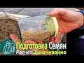 Выращивание рассады 🌿 Подготовка семян к посеву по технологии Гордеевых