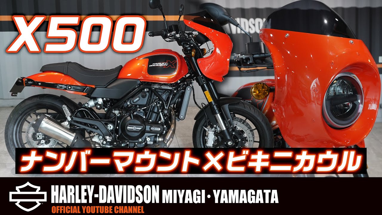 Harley-Davidson] A dramatic transformation with a light custom 