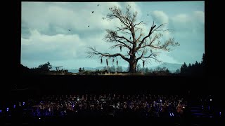 Eredin, King of the Hunt - The Witcher 3 | Live Orchestral Performance in Krakow 2016 [4K UHD]