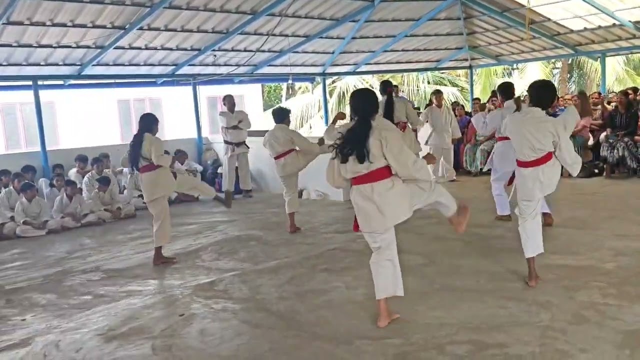 3rd ANNUAL DAY CELEBRATION 18/01/2026 Karate Demonstration 
