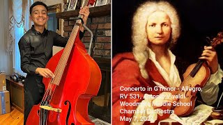 Concerto in G minor - Allegro, RV 531, Antonio Vivaldi