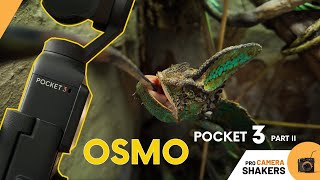 Osmo pocket 3 part II  practical and creative tips for using DJI Osmo Pocket 3