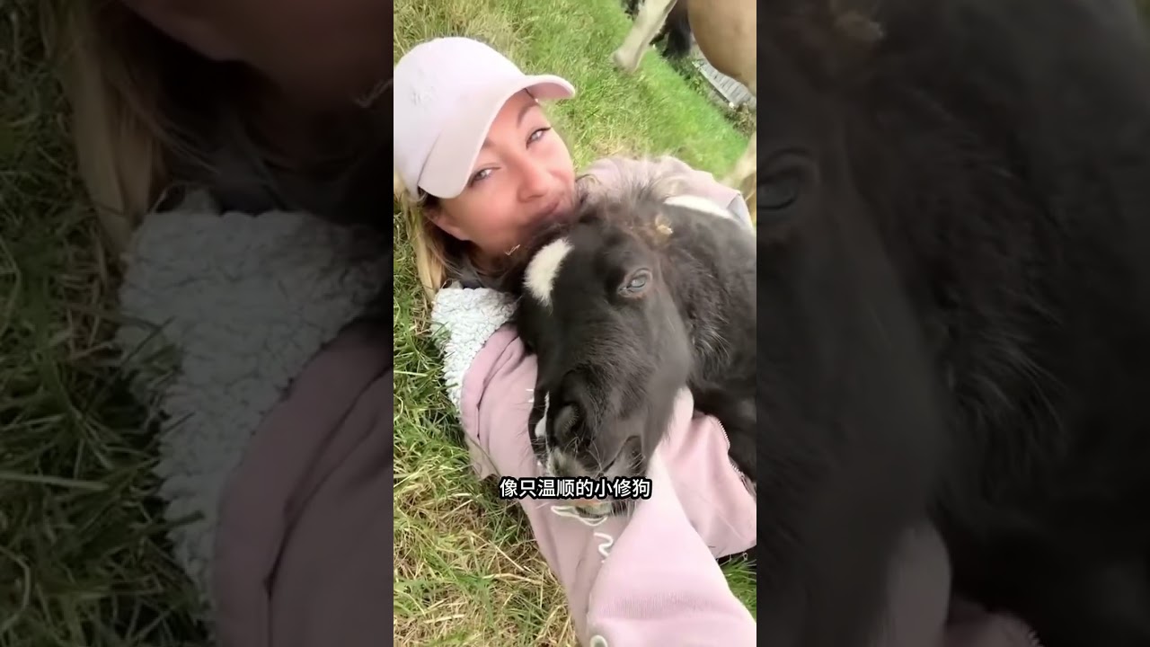 《嗨皮動物🐿️世界》12種動物趣事百科