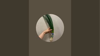 小池里奈 がライブ配信中！