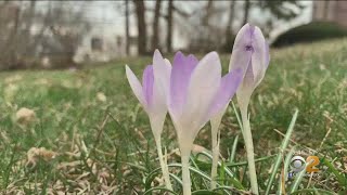 Goodbye Winter, Hello Spring: Tips For Homeowners’ Yard Prep