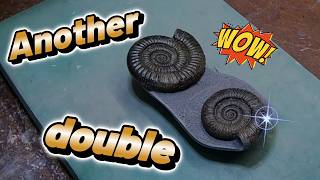 fossil preparation - Finishing another double commune nodule 4K...